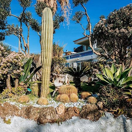 Appartamenti Ischia Casa Don Peppe Forio di Ischia Eksteriør bilde