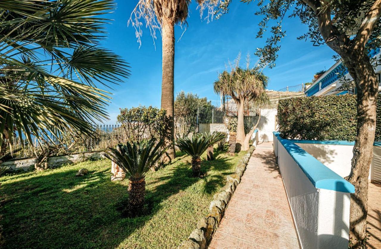 Appartamenti Ischia Casa Don Peppe Forio di Ischia Eksteriør bilde