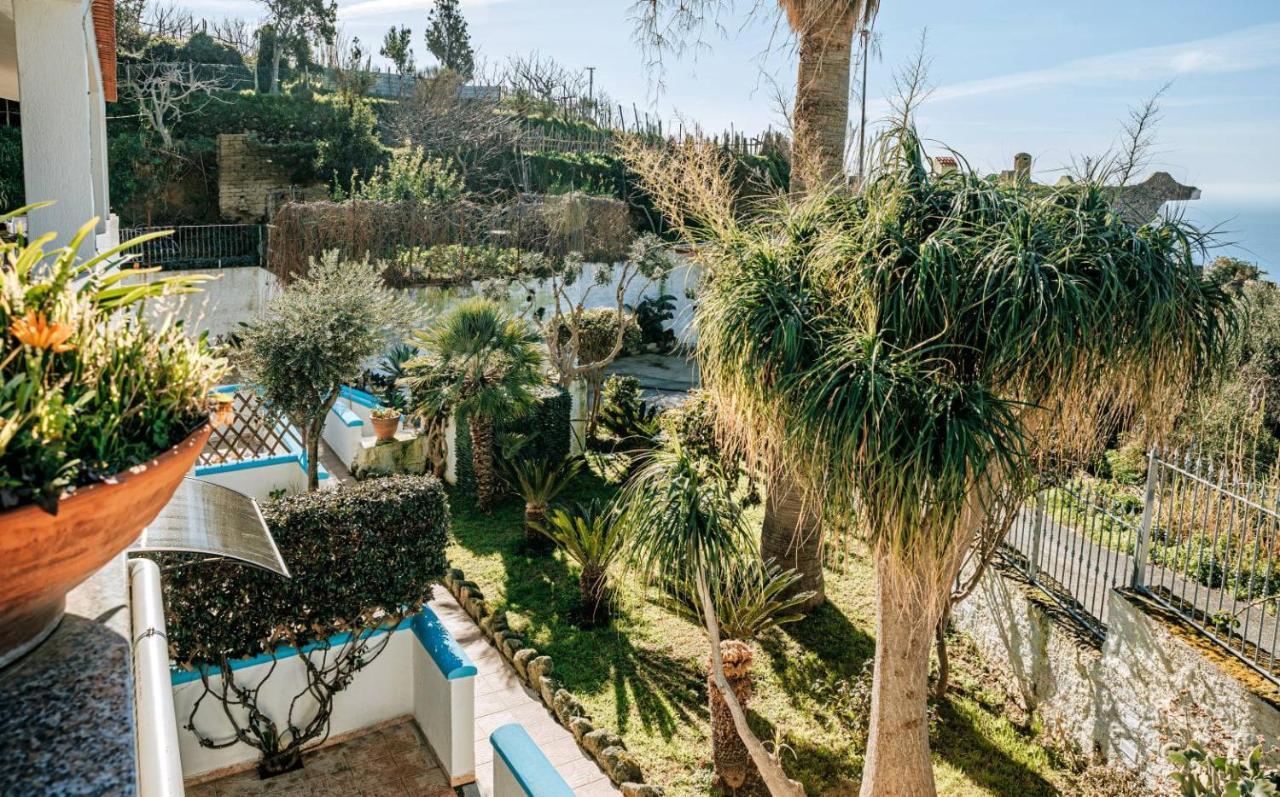 Appartamenti Ischia Casa Don Peppe Forio di Ischia Eksteriør bilde