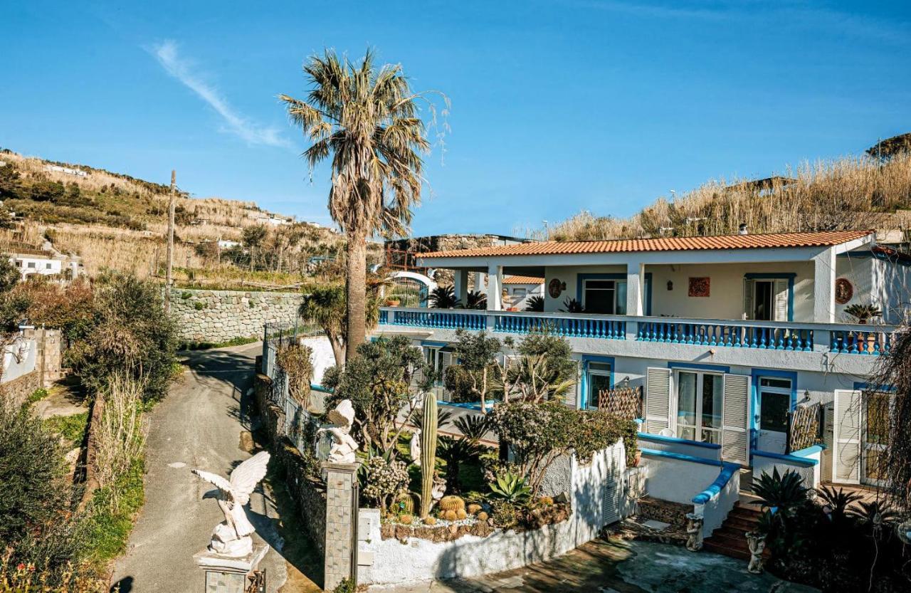 Appartamenti Ischia Casa Don Peppe Forio di Ischia Eksteriør bilde